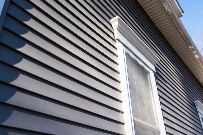 Vinyl Siding Installation Process